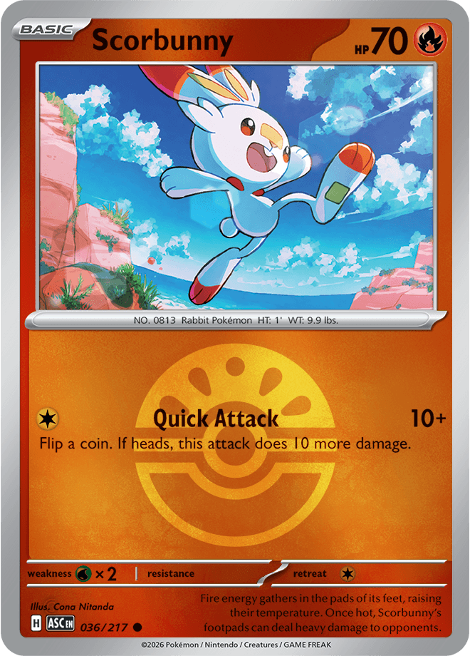 Scorbunny, catalogue front