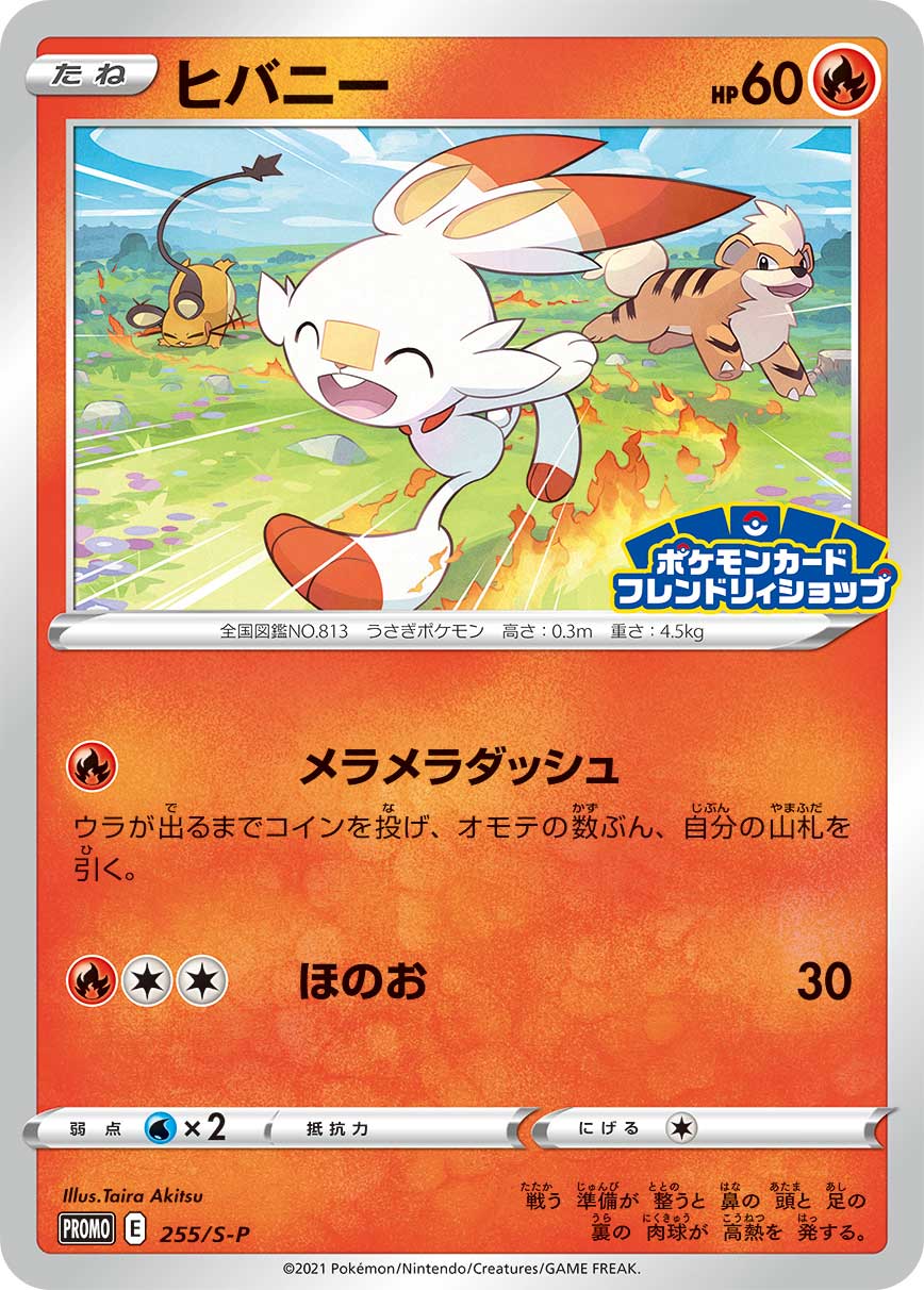 Scorbunny, catalogue front