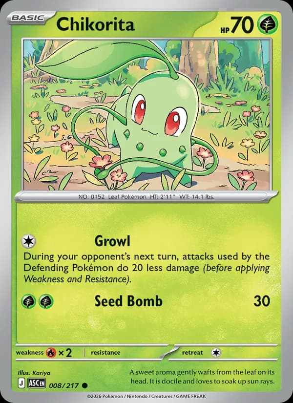 Chikorita, catalogue front