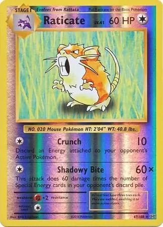 Raticate, catalogue front