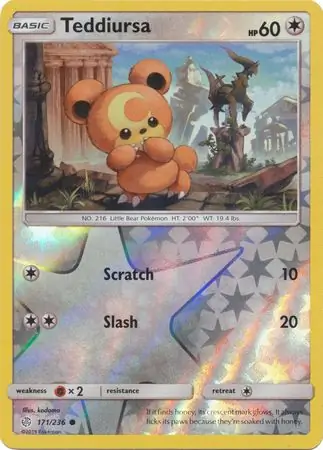 Teddiursa, catalogue front
