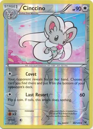 Cinccino, catalogue front
