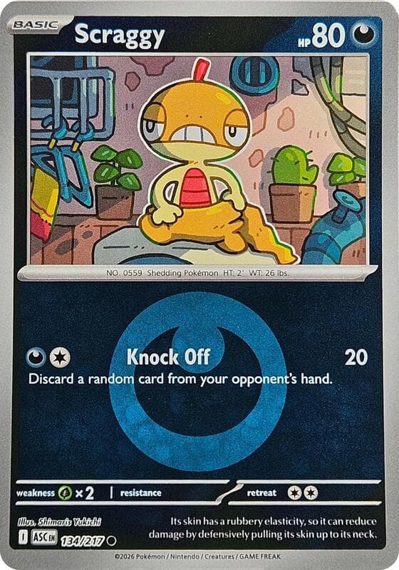 Scraggy, catalogue front