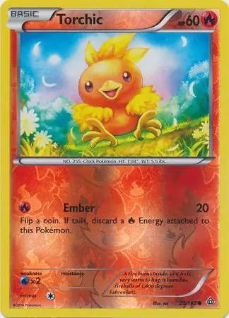 Torchic, catalogue front