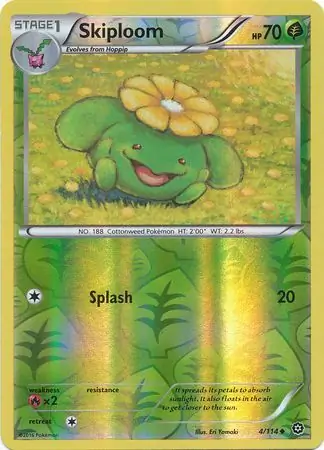 Skiploom, catalogue front