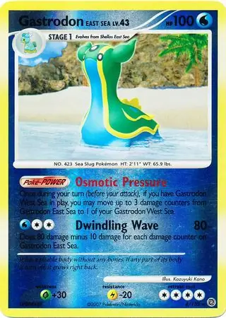 Gastrodon East Sea, catalogue front