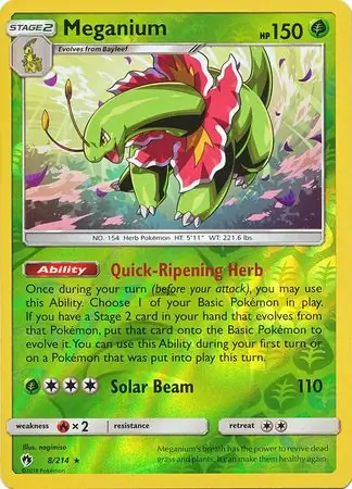 Meganium, catalogue front