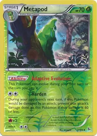 Metapod, catalogue front