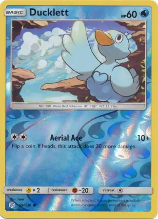 Ducklett, catalogue front