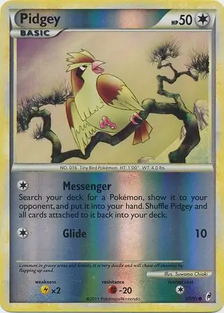 Pidgey, catalogue front