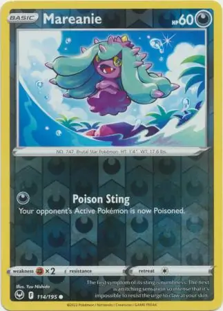 Mareanie, catalogue front