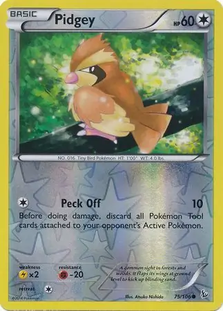 Pidgey, catalogue front