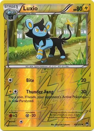 Luxio, catalogue front