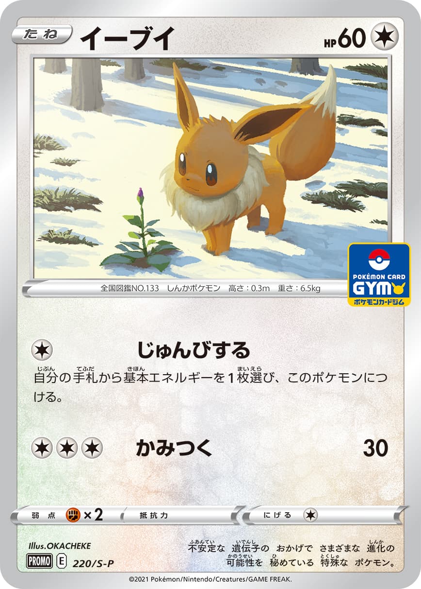Eevee, catalogue front