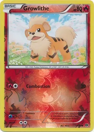 Growlithe, catalogue front