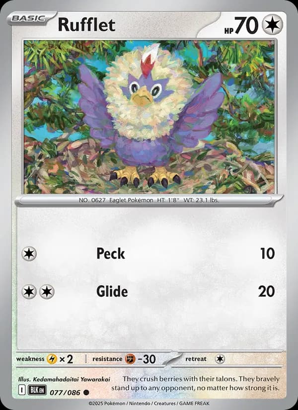 Rufflet, catalogue front