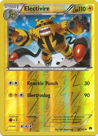 Electivire, catalogue front