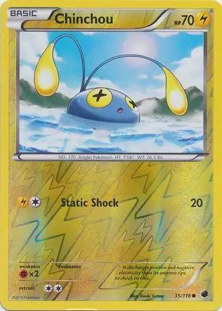 Chinchou, catalogue front