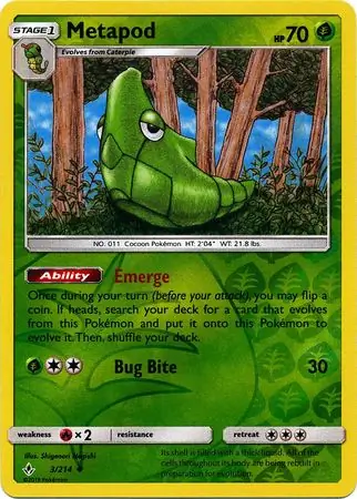Metapod, catalogue front