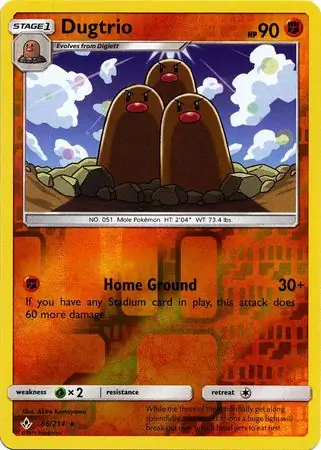Dugtrio, catalogue front