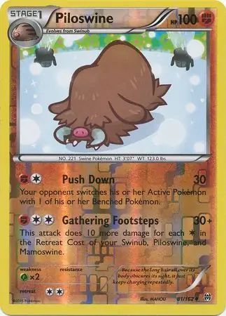 Piloswine, catalogue front