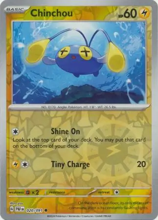 Chinchou, catalogue front