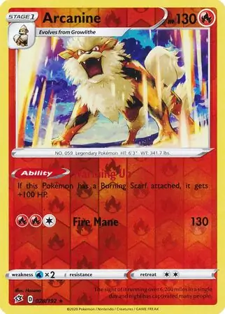 Arcanine, catalogue front