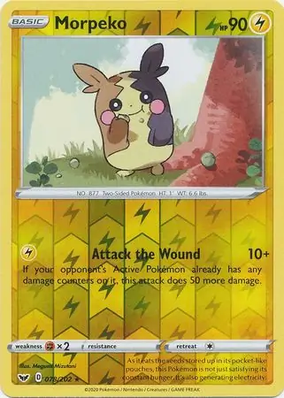Morpeko, catalogue front