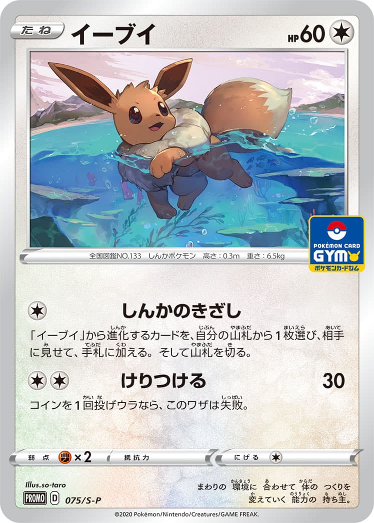 Eevee, catalogue front