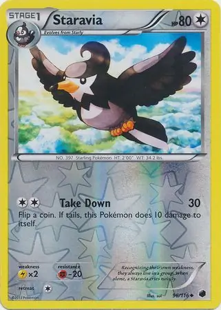 Staravia, catalogue front