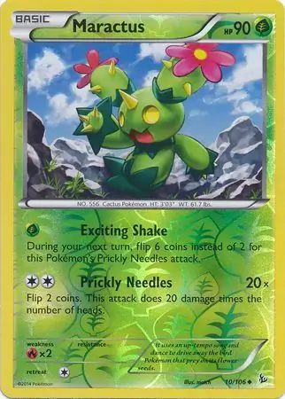 Maractus, catalogue front