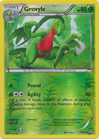 Grovyle, catalogue front