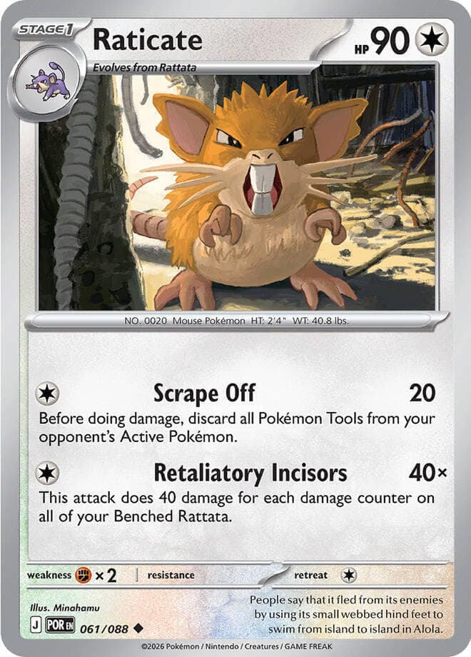 Raticate, catalogue front