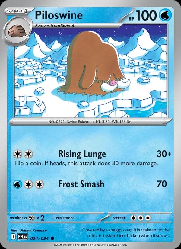 Piloswine, catalogue front