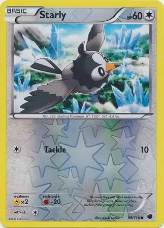 Starly, catalogue front