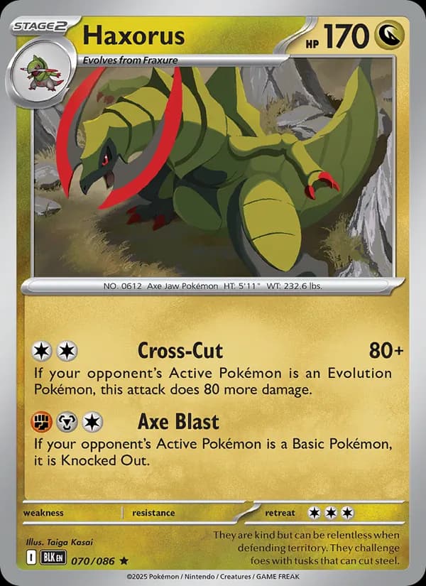 Haxorus, catalogue front
