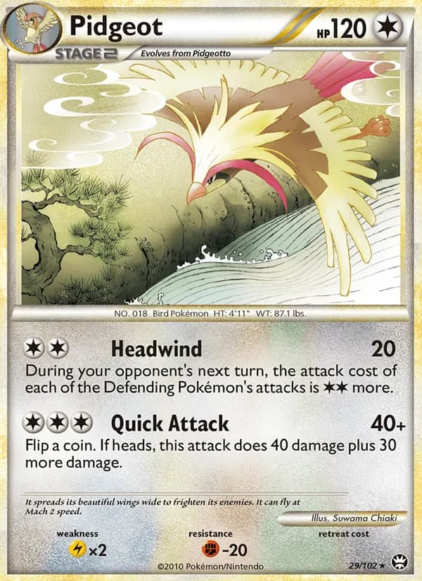 Pidgeot, catalogue front