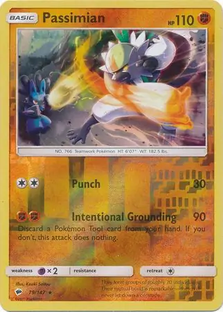 Passimian, catalogue front