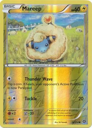 Mareep, catalogue front