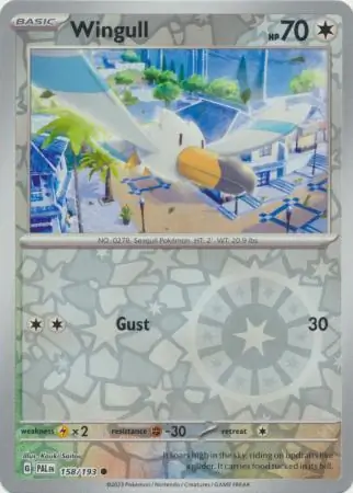 Wingull, catalogue front
