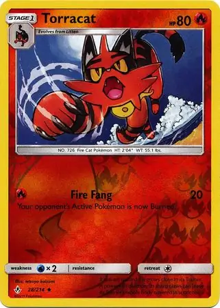 Torracat, catalogue front