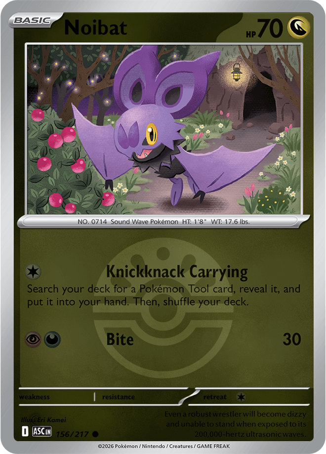 Noibat, catalogue front