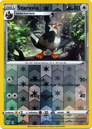 Staravia, catalogue front