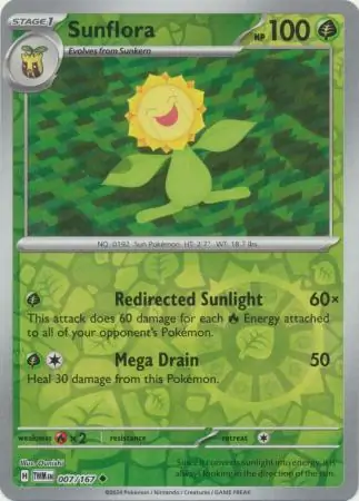 Sunflora, catalogue front