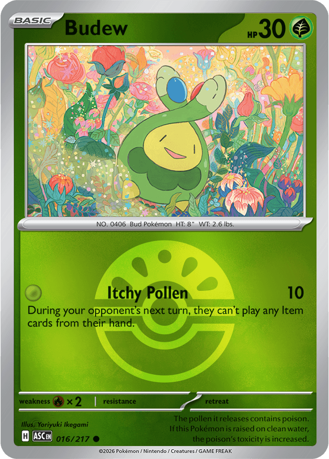 Budew, catalogue front