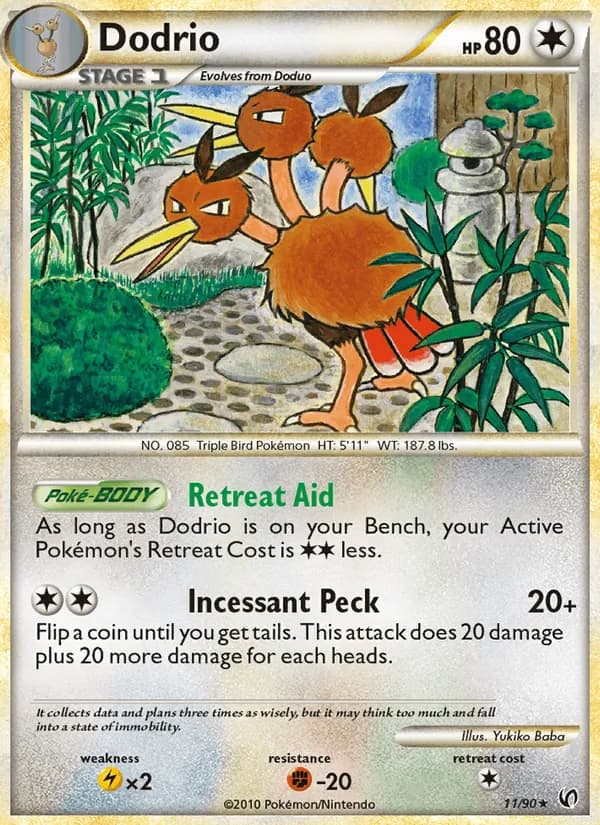 Dodrio, catalogue front