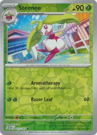 Steenee, catalogue front