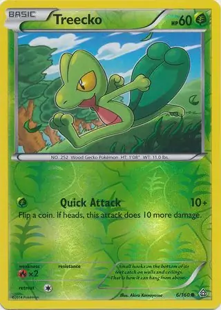 Treecko, catalogue front