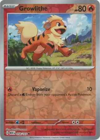 Growlithe, catalogue front
