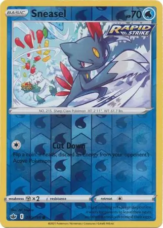 Sneasel, catalogue front